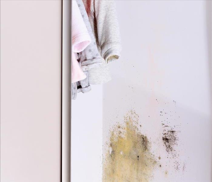 Mold growth in a closet.